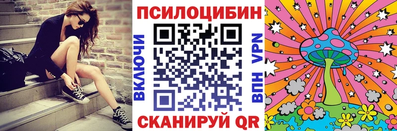 Псилоцибиновые грибы мицелий  где купить наркоту  KRAKEN как войти  Екатеринбург 